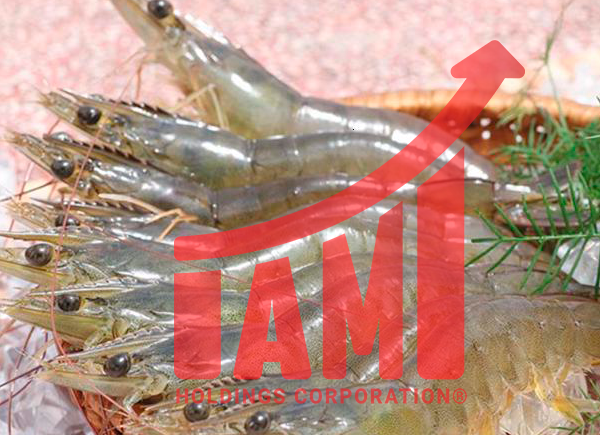 Tôm